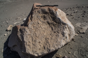 Piedra: 139, Cara decorada: III