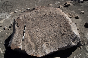 Piedra: 143, Cara decorada: I