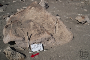Piedra: 145, Cara decorada: II