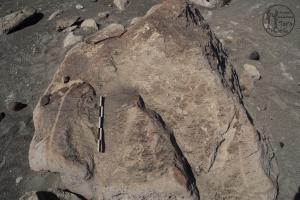 Piedra: 145, Cara decorada: II