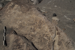 Piedra: 145, Cara decorada: II