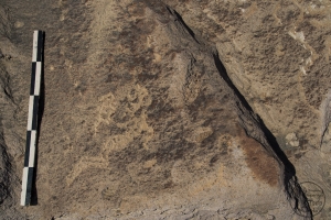 Piedra: 145, Cara decorada: II