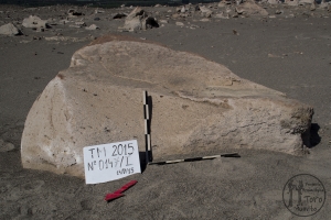Piedra: 147, Cara decorada: I