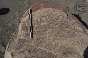 Piedra: 147, Cara decorada: I