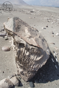 Piedra: 150, Cara decorada: I