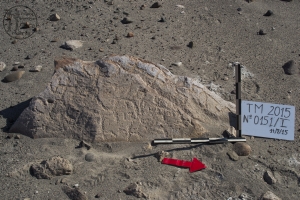 Piedra: 151, Cara decorada: I