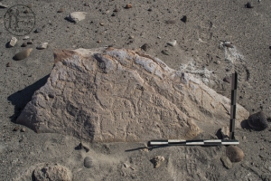 Piedra: 151, Cara decorada: I