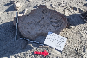 Piedra: 155, Cara decorada: I