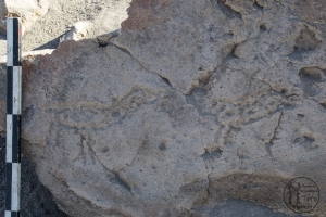 Piedra: 155, Cara decorada: I