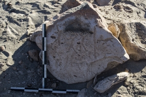 Piedra: 157, Cara decorada: I