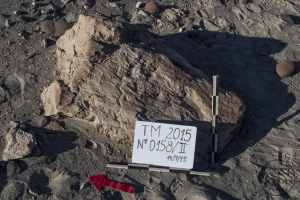 Piedra: 158, Cara decorada: II