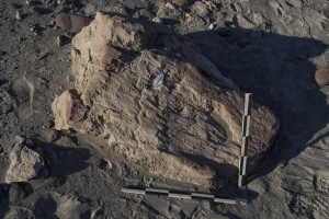 Piedra: 158, Cara decorada: II