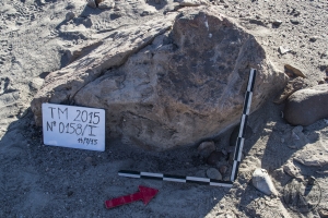 Piedra: 158, Cara decorada: I