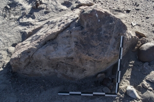 Piedra: 158, Cara decorada: I