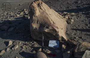 Piedra: 160, Cara decorada: III
