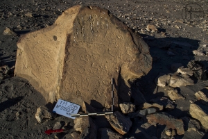 Piedra: 160, Cara decorada: II