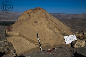 Piedra: 160, Cara decorada: I