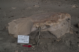 Piedra: 164, Cara decorada: I