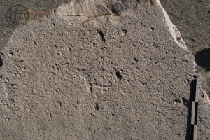 Piedra: 174, Cara decorada: I