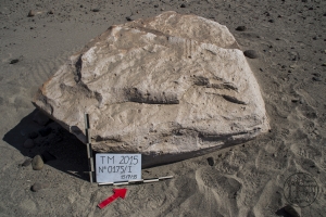 Piedra: 175, Cara decorada: I