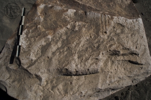 Piedra: 175, Cara decorada: I