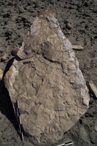 Piedra: 178, Cara decorada: I