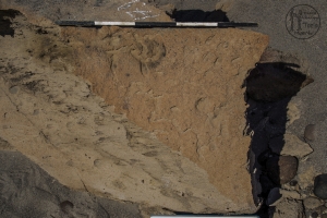 Piedra: 179, Cara decorada: I