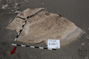 Piedra: 186, Cara decorada: I