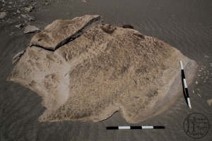 Piedra: 186, Cara decorada: I
