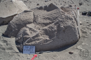 Piedra: 189, Cara decorada: II