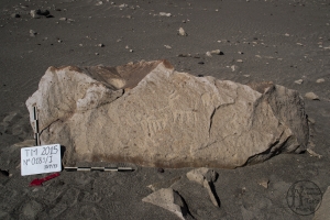Piedra: 189, Cara decorada: I