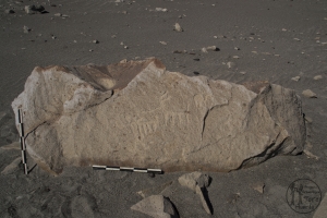 Piedra: 189, Cara decorada: I