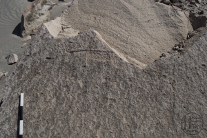 Piedra: 191, Cara decorada: I