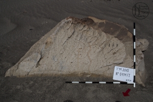 Piedra: 194, Cara decorada: I