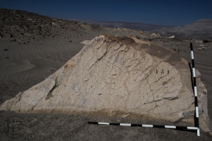Piedra: 194, Cara decorada: I