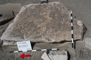 Piedra: 195, Cara decorada: I