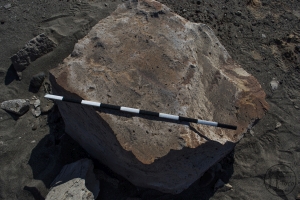 Piedra: 204, Cara decorada: I