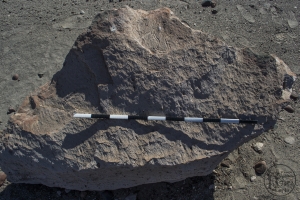 Piedra: 205, Cara decorada: I