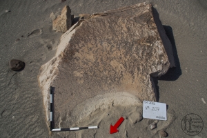 Piedra: 207, Cara decorada: I