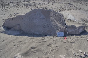 Piedra: 210, Cara decorada: I
