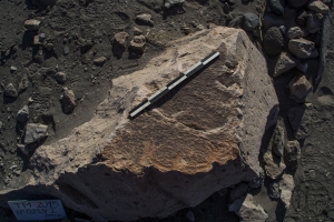 Piedra: 213, Cara decorada: I