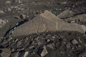 Piedra: 214, Cara decorada: I