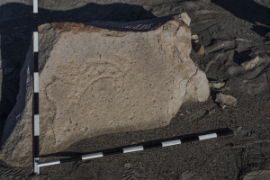 Piedra: 225, Cara decorada: I