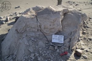 Piedra: 228, Cara decorada: I