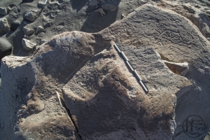 Piedra: 228, Cara decorada: I