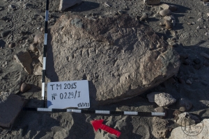 Piedra: 229, Cara decorada: I