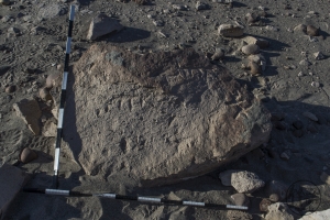 Piedra: 229, Cara decorada: I