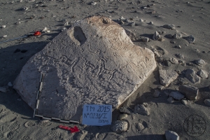 Piedra: 231, Cara decorada: I