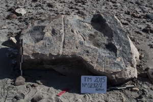 Piedra: 232, Cara decorada: I