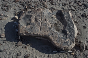 Piedra: 232, Cara decorada: I